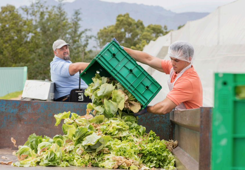 USDA Study Shows ControlledEnvironment Agriculture Could Reduce Food